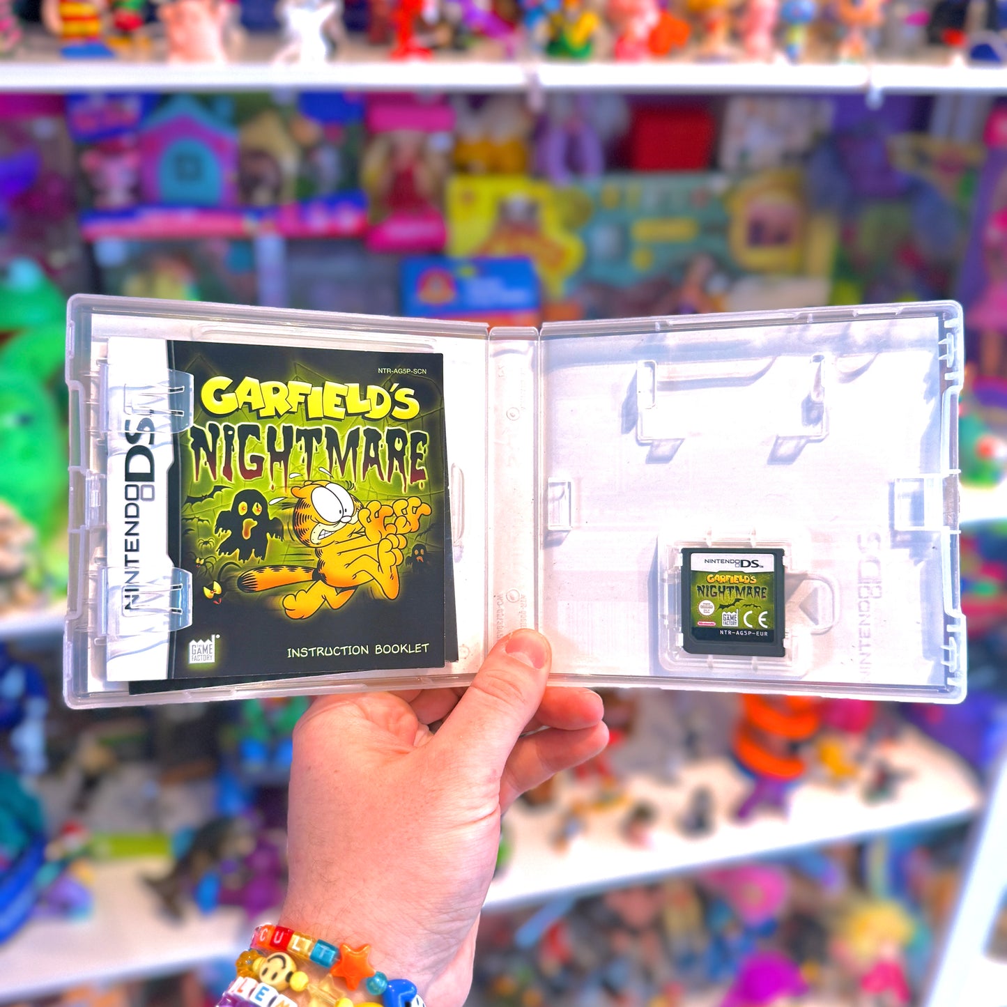 Garfield's Nightmare (Nintendo DS)