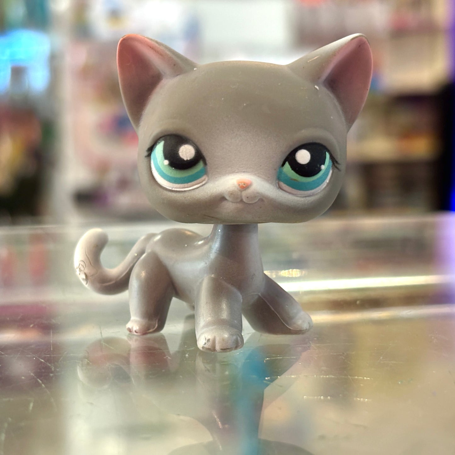 Littlest Pet Shop: #126 Shorthair Cat (Hasbro, 2000s)