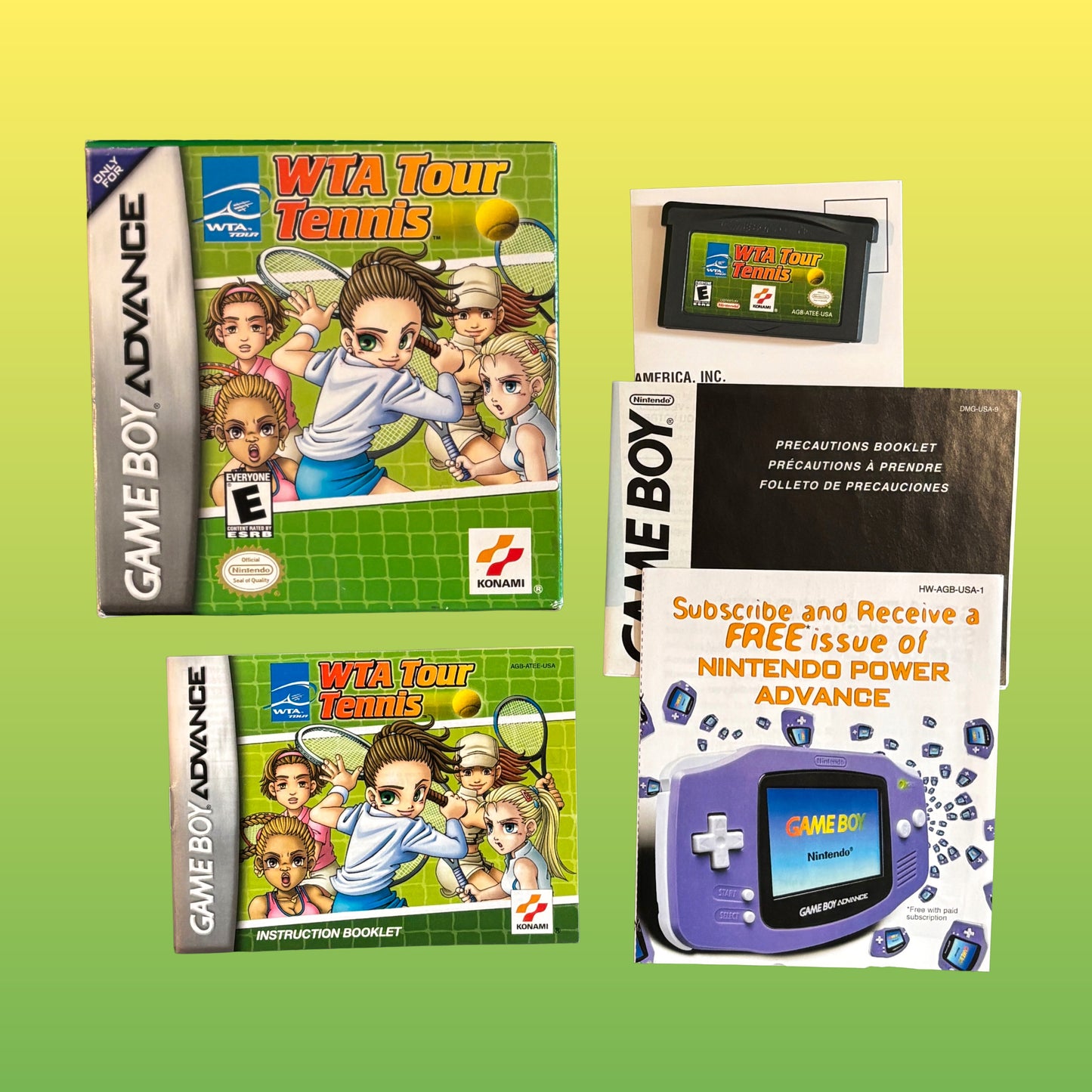 WTA Tour Tennis (Gameboy Advance)