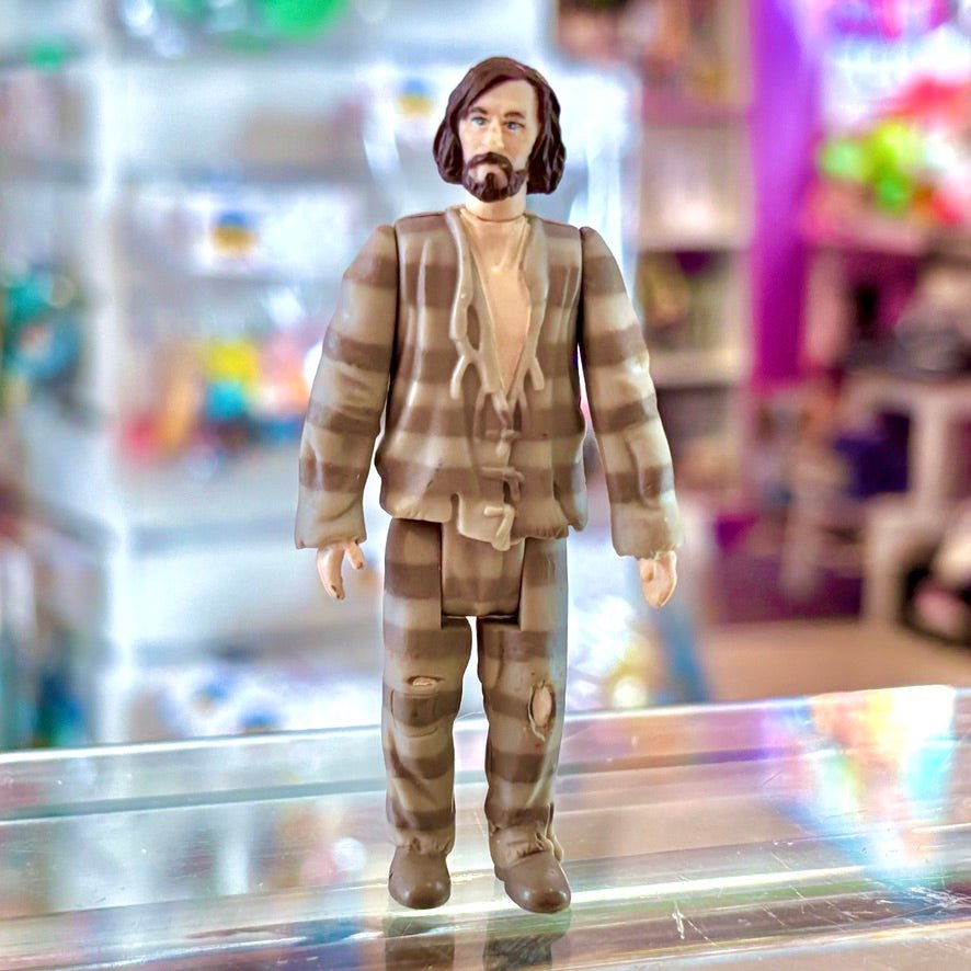 Harry Potter & The Prisoner of Azkaban: Sirius Black Action Figure (2002) - PopCultGang