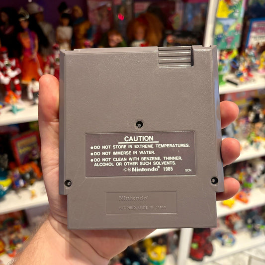 Paperboy (NES) - PopCultGang