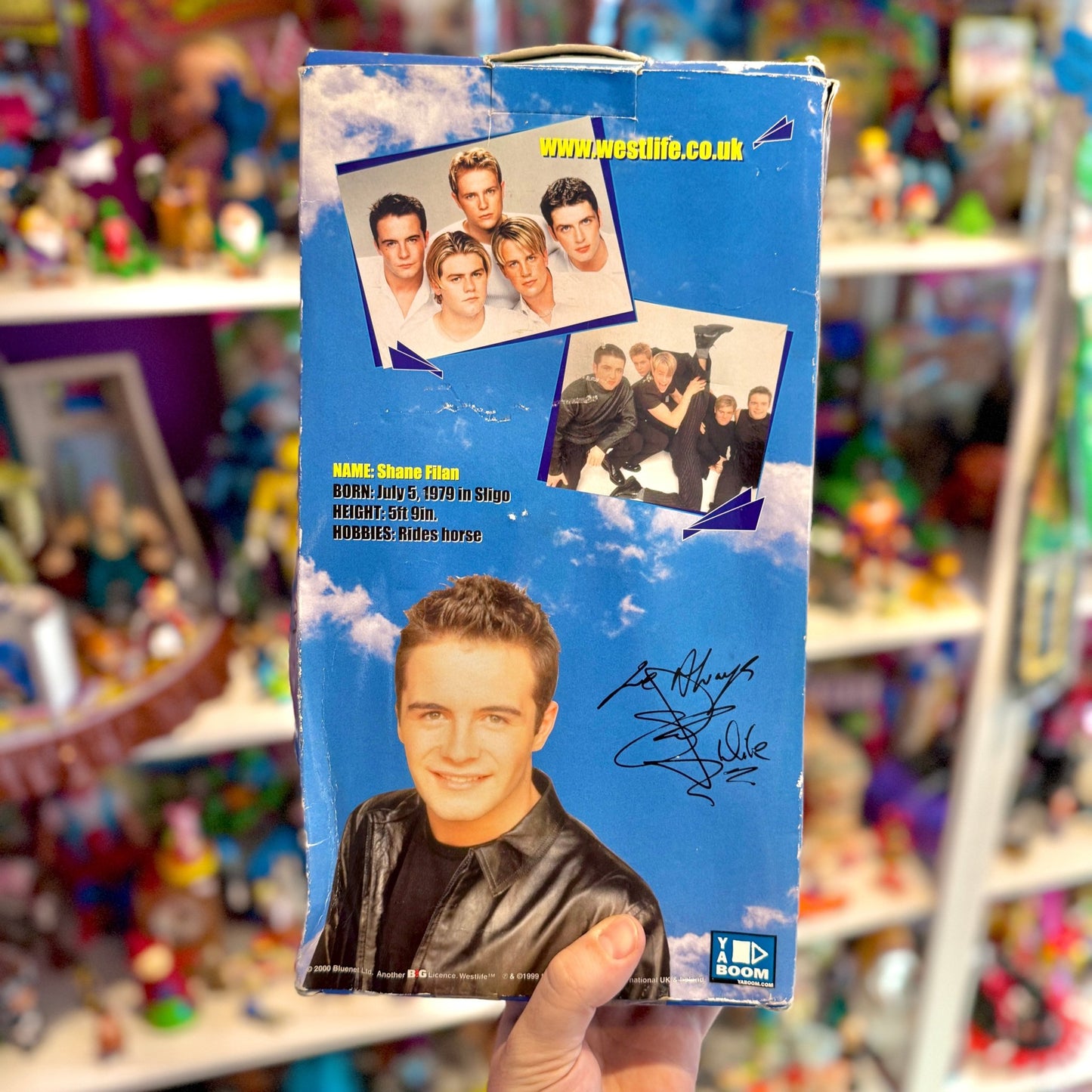 Westlife: Shane Boy Band Doll (90s) - PopCultGang
