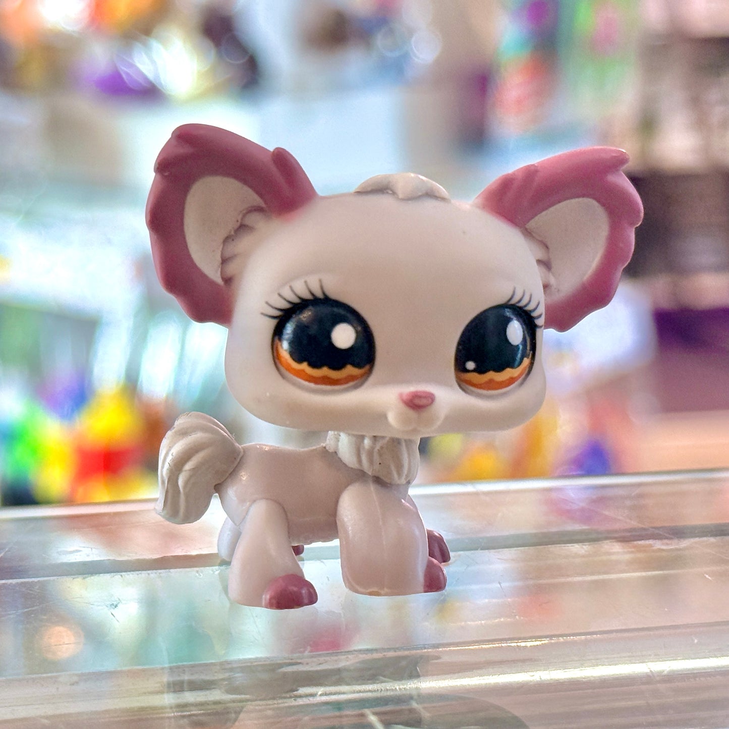 Littlest Pet Shop: #1138 Chihuahua Dog (2000s)