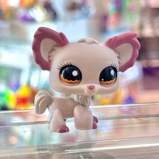 Littlest Pet Shop: #1138 Chihuahua Dog (2000s)