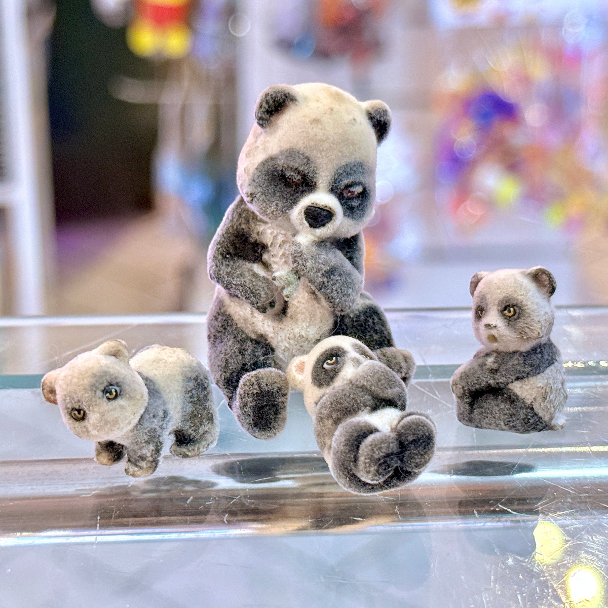 Jungle In My Pocket - Panda Family - Fluffy Flocked  Mini Figure set (MEG, 2007)