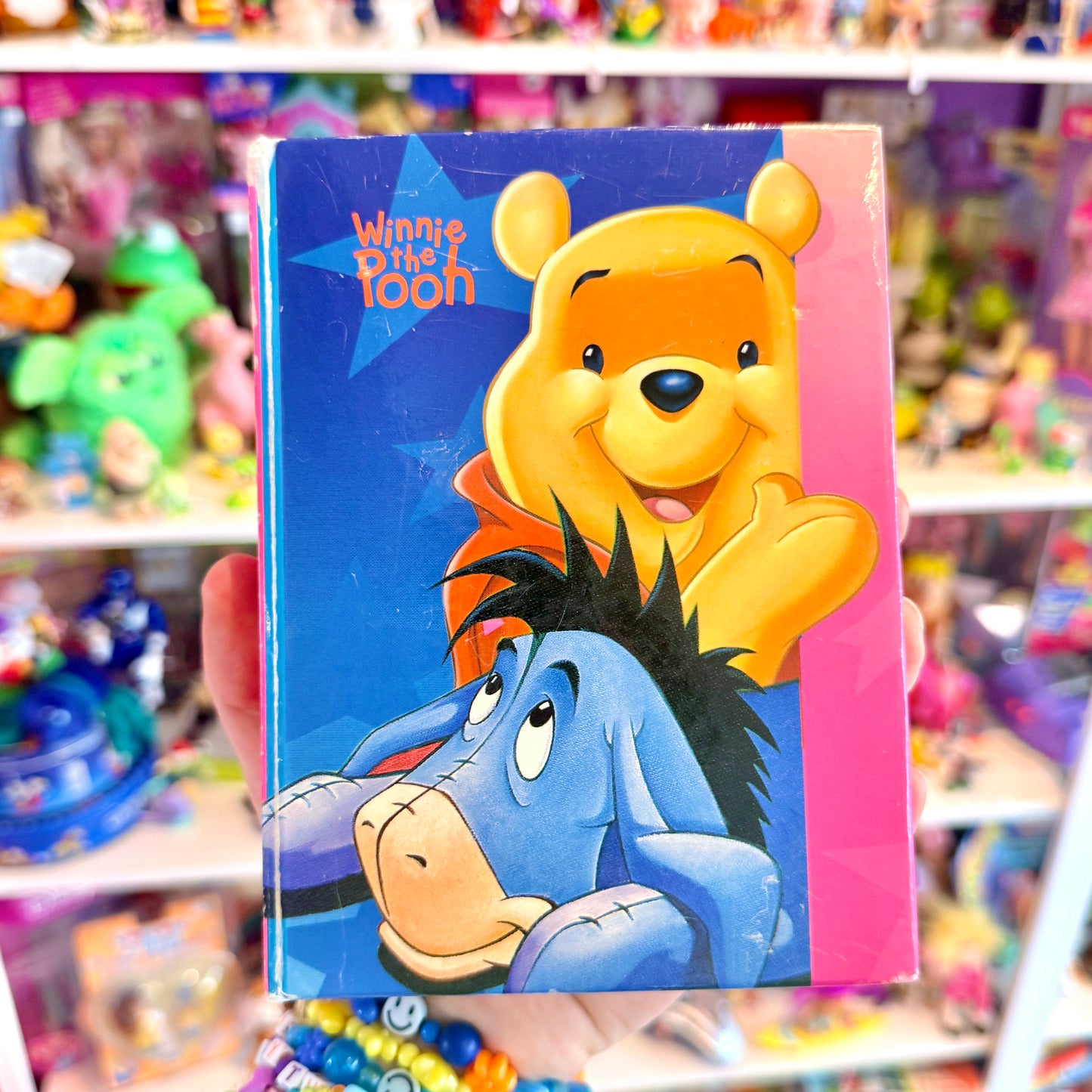 Winnie the Pooh & Eeyore - Photo Album (Disney, 2000s)