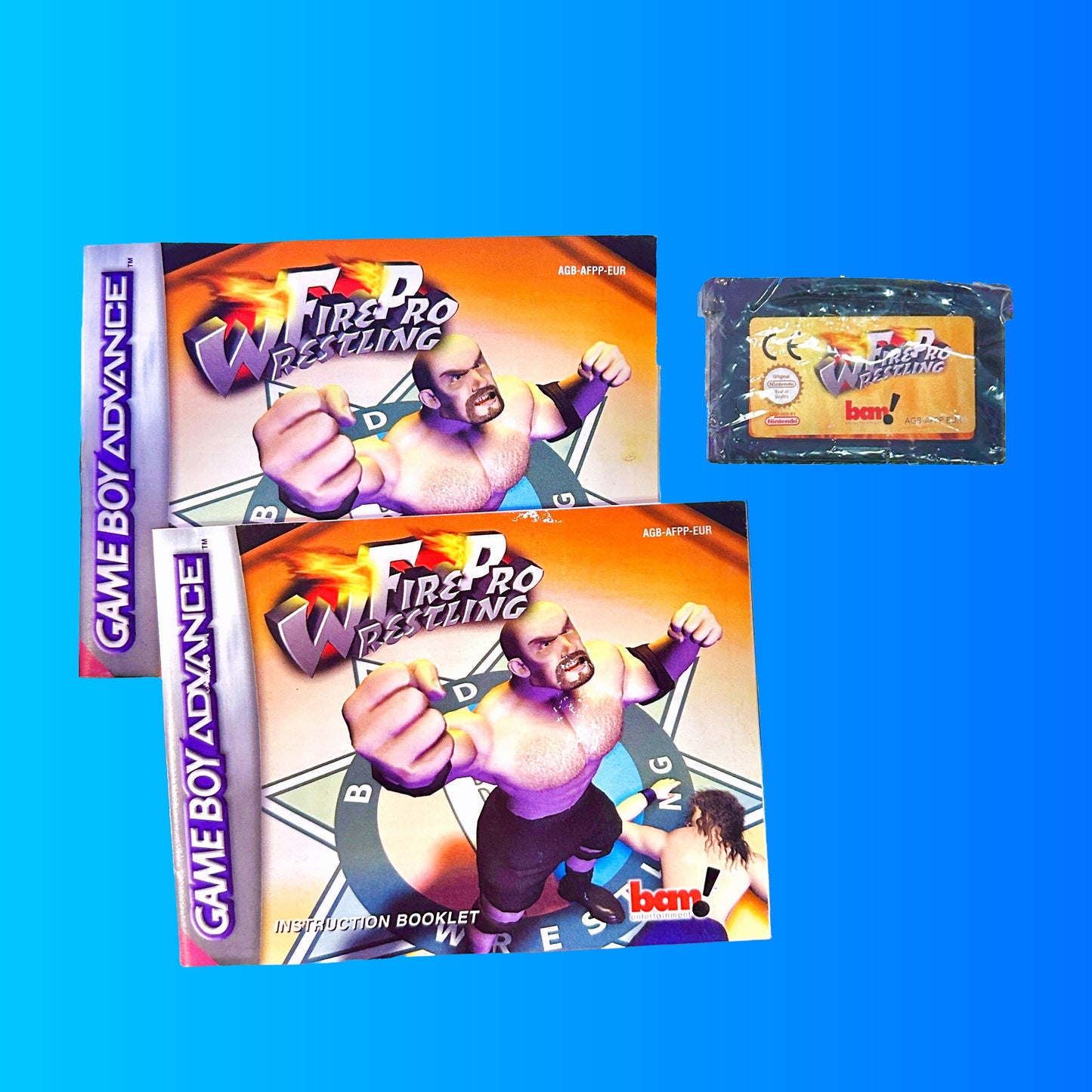 Fire Pro Wrestling (Gameboy Advance)
