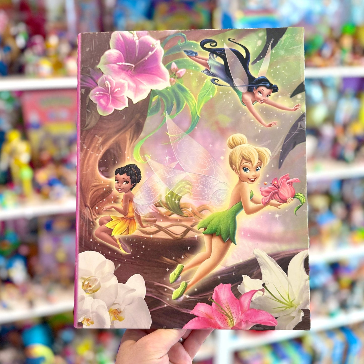 Disney Faeries: Tinkerbell & Friends Ring - Binder (2000s) - PopCultGang