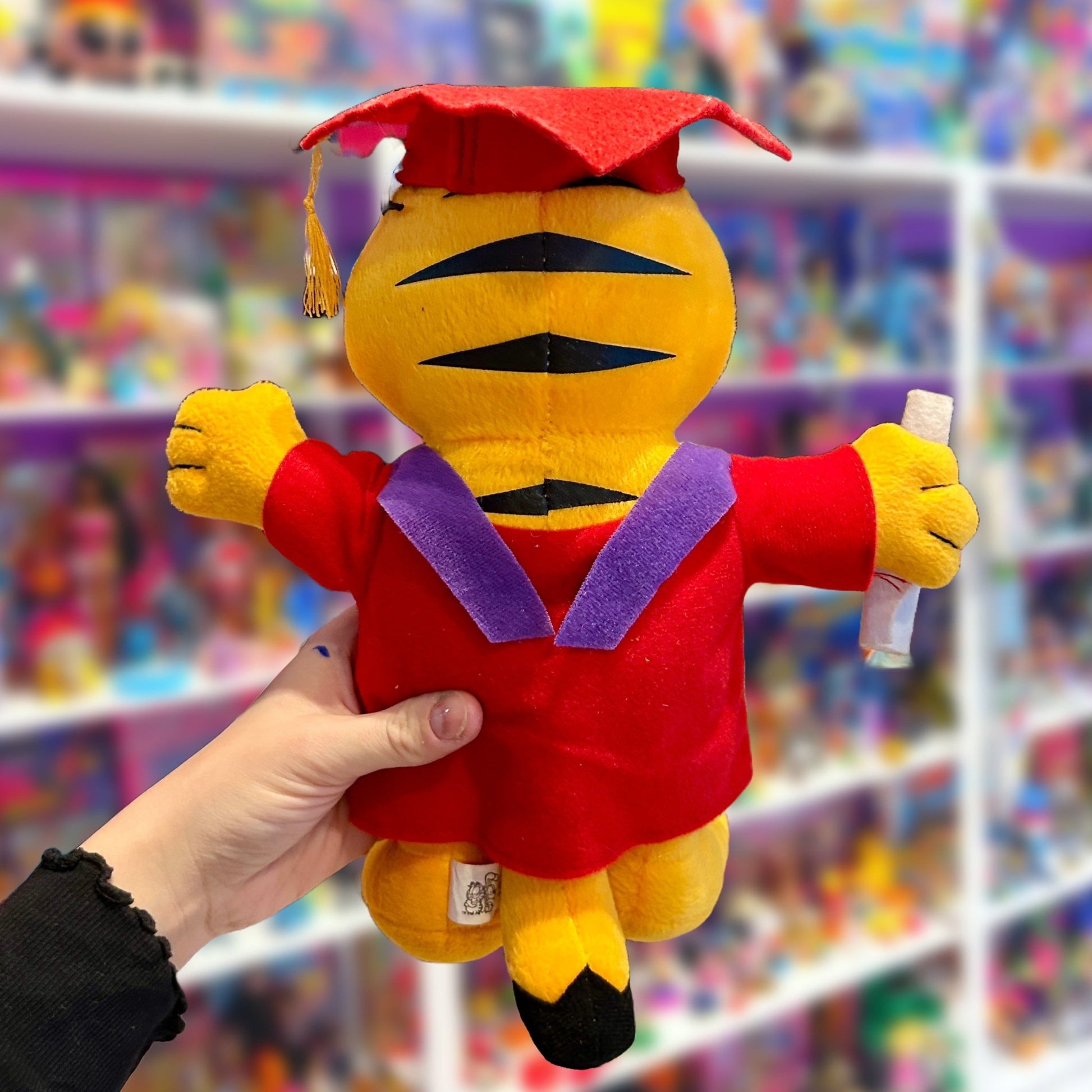 Garfield: Graduation plush (2000’s) - PopCultGang