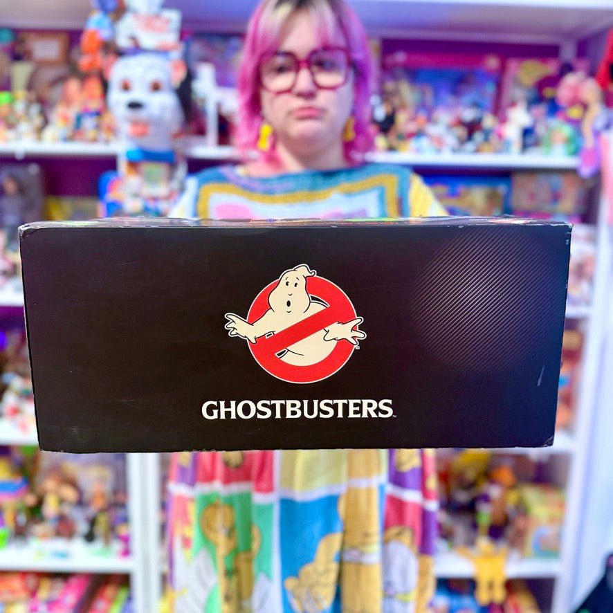 Ghostbusters: Ecto - 1 - Hot Wheels Elite 1:18 Diecast Model Car (NIB, 2011) - PopCultGang