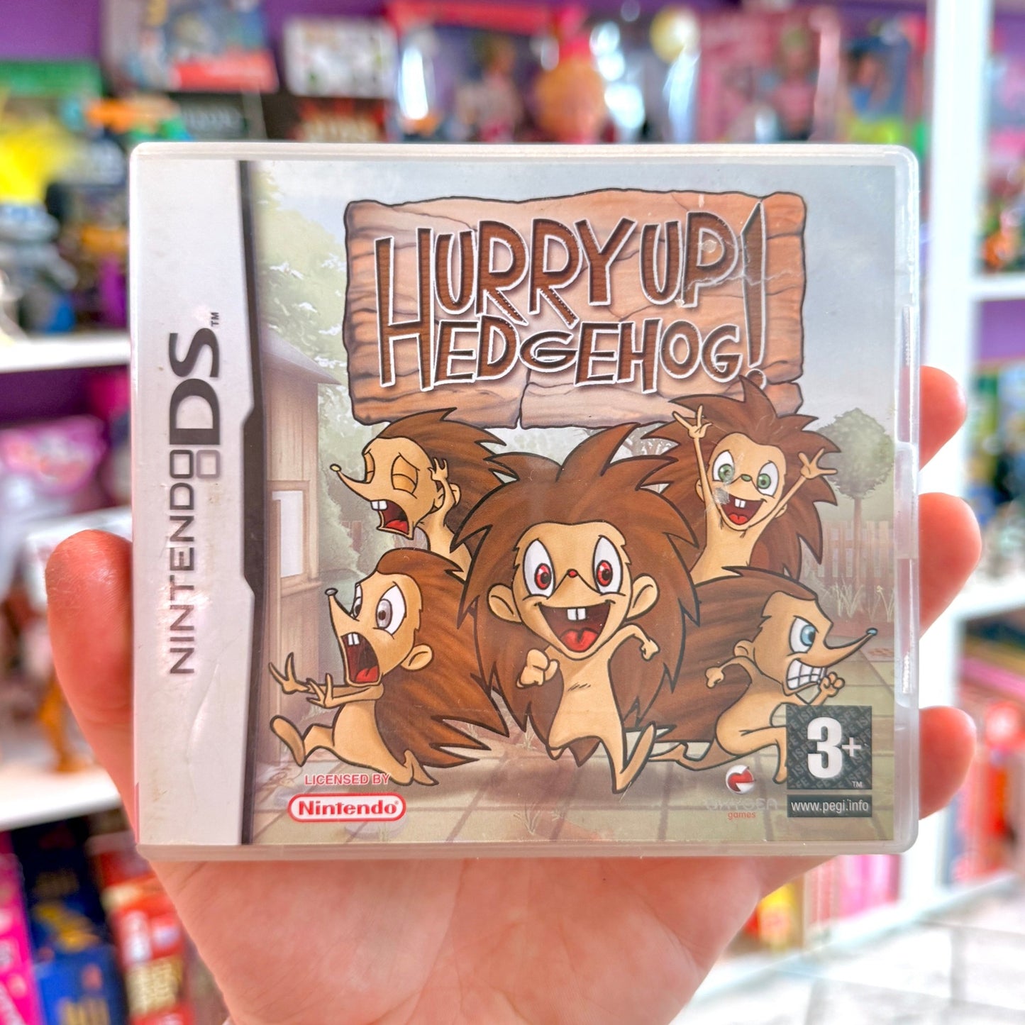 Hurry Up Hedgehog! (Nintendo DS) - PopCultGang
