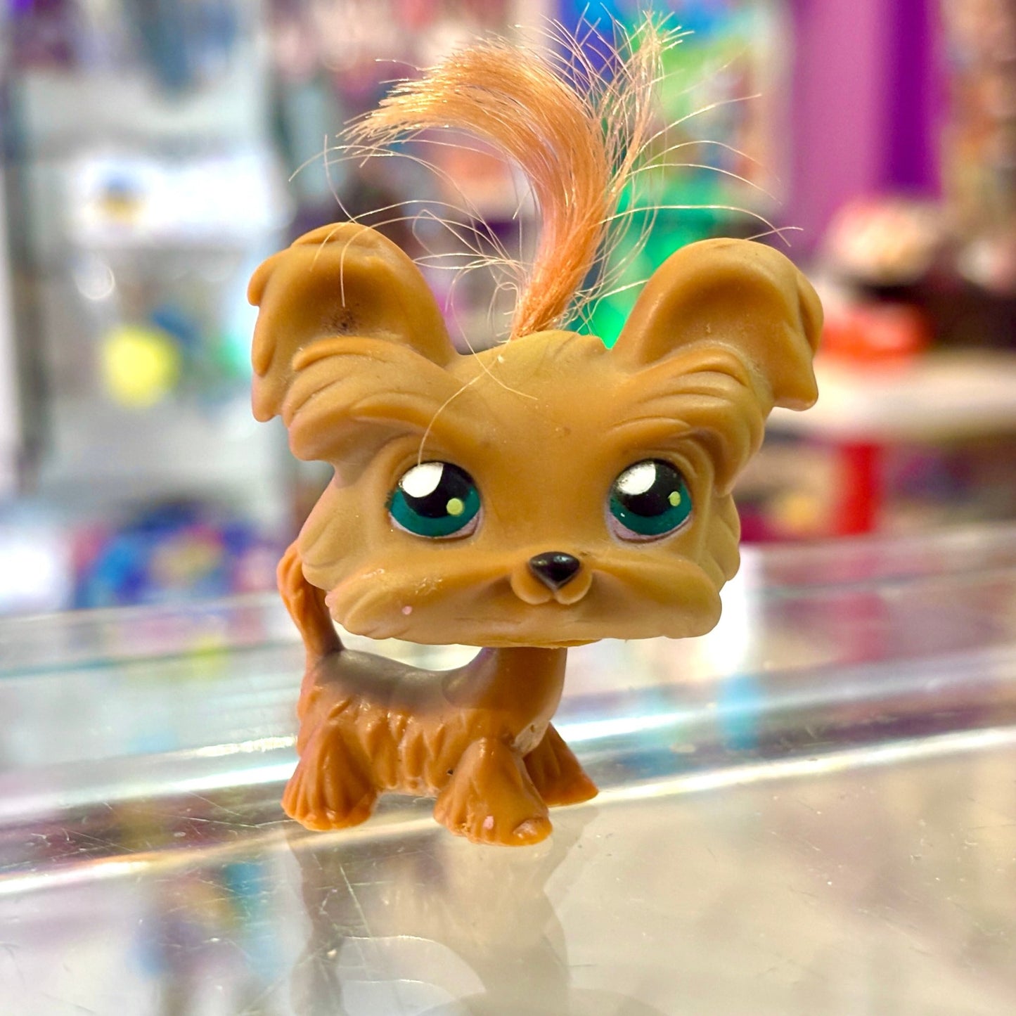 Littlest Pet Shop: 006 Yorkie (2000s) - PopCultGang