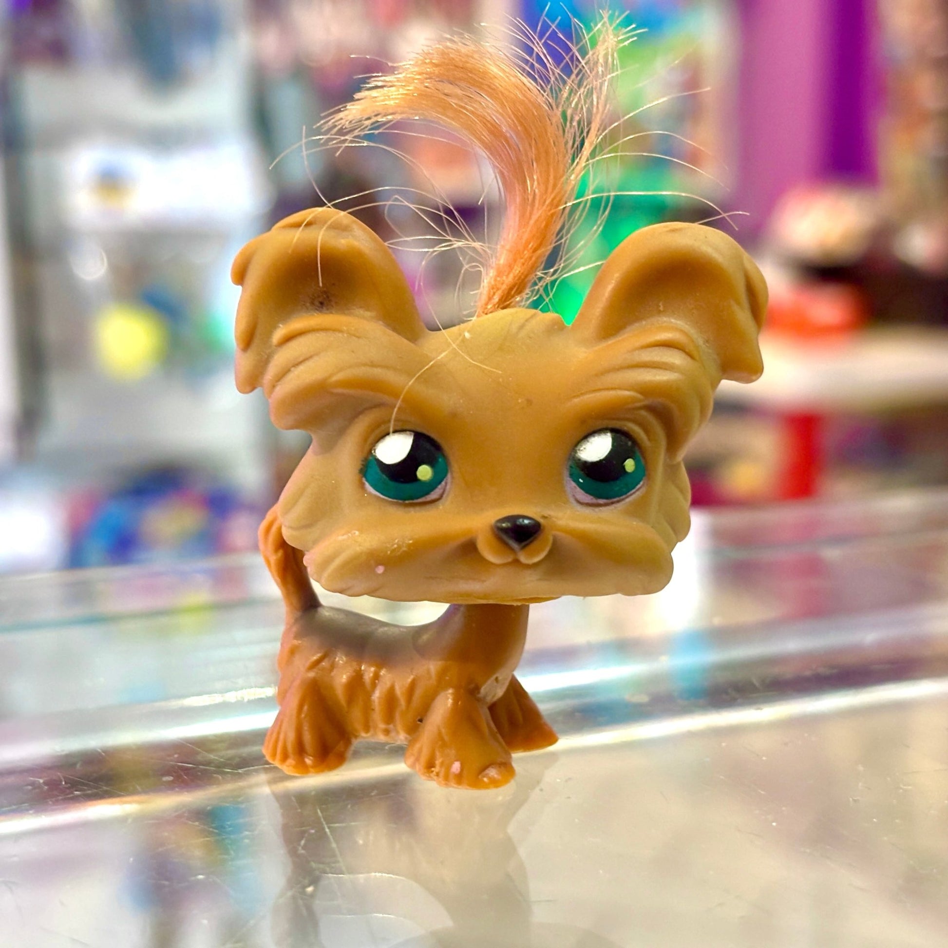 Littlest Pet Shop: 006 Yorkie (2000s) - PopCultGang