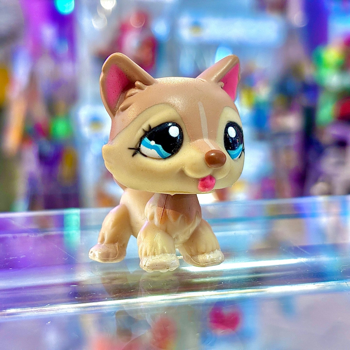 Littlest Pet Shop #1012: Husky (2000s) - PopCultGang