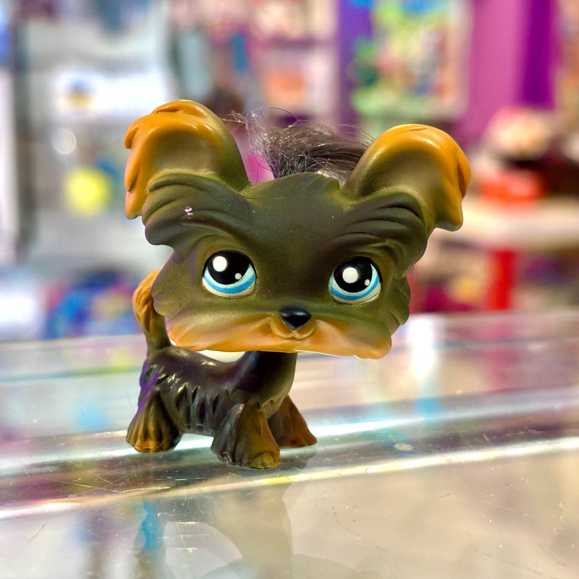 Littlest Pet Shop: 141 Yorkie (2000s) - PopCultGang