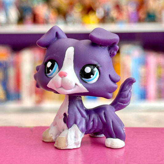 Littlest Pet Shop: #1676 Collary Dog (2000s) - PopCultGang