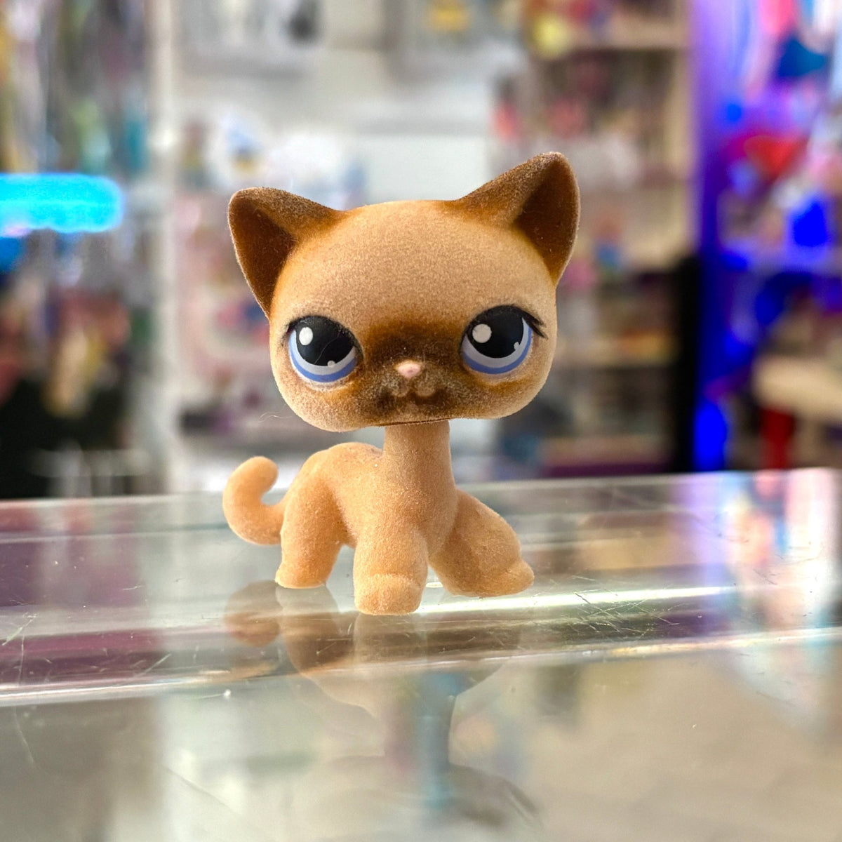 Littlest Pet Shop: 318 Shorthaired Cat (2000s) - PopCultGang
