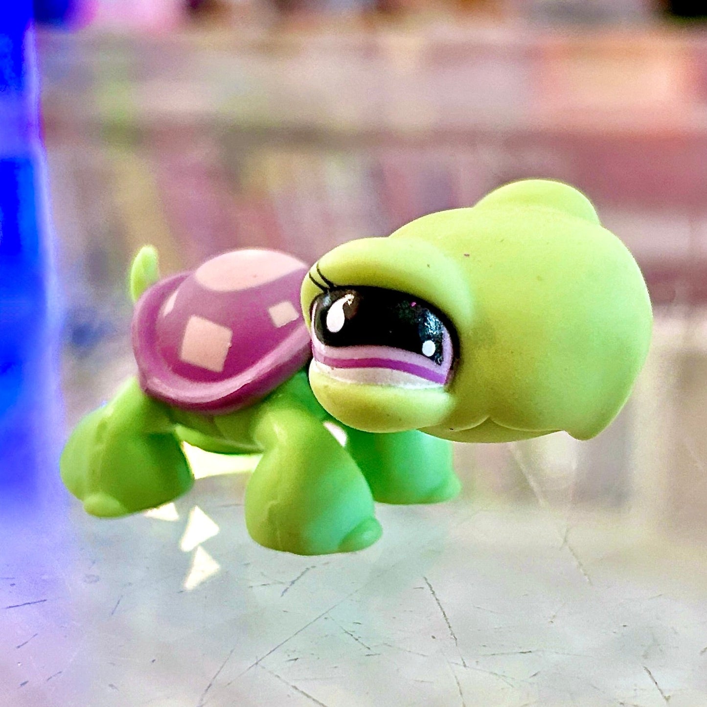 Littlest Pet Shop: 566 Turtle (2000s) - PopCultGang