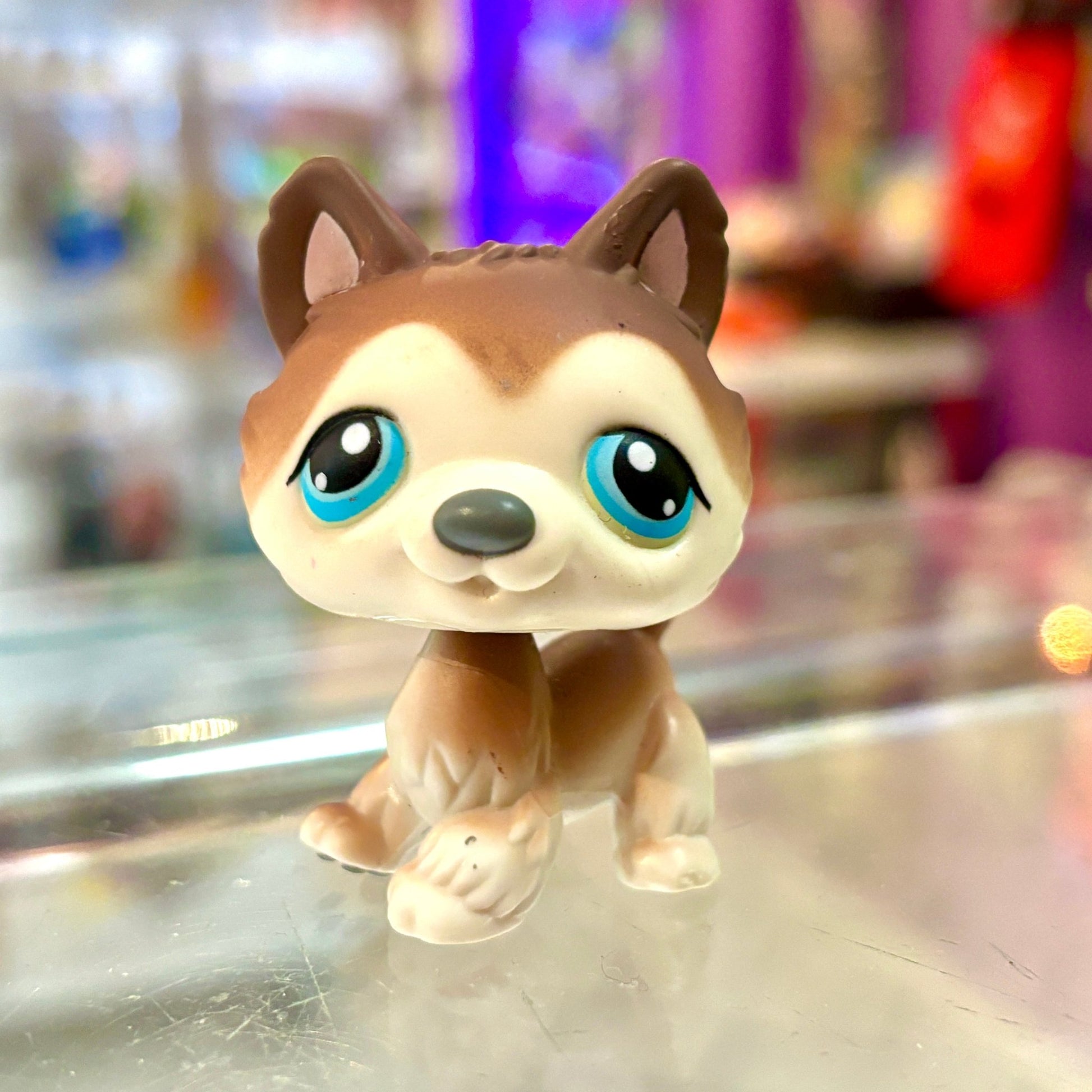 Littlest Pet Shop: 68 Husky (2000s) - PopCultGang