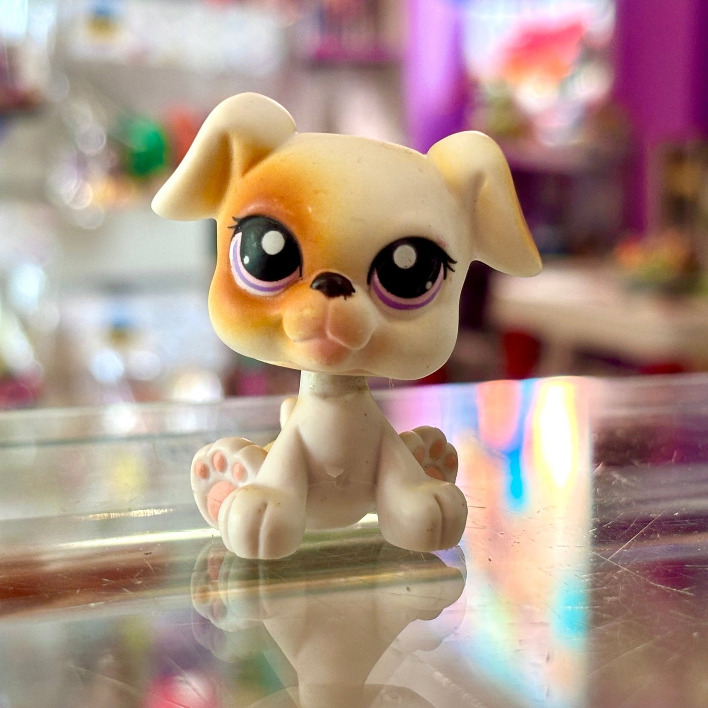 Littlest Pet Shop: 84 Boxer (2000s) - PopCultGang