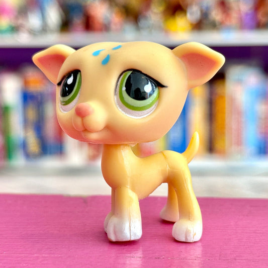 Littlest Pet Shop: #875 Yellow Greyhound Whippet Dog (2000s) - PopCultGang