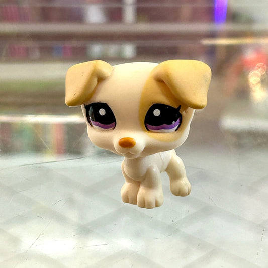 Littlest Pet Shop: Pets Around the World - Jack Russel #1110 (2009) - PopCultGang