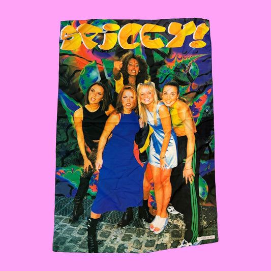 Spice Girls: “Spicy!“ Hanging Banner Flag (90s) - PopCultGang